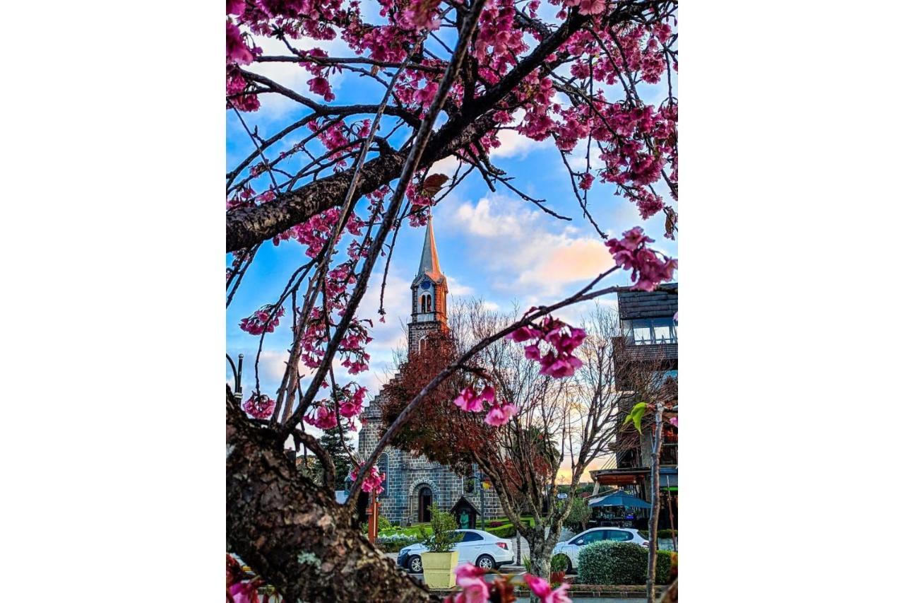 Com Vista Para Catedral - @Stayhousetemporada Canela Dış mekan fotoğraf